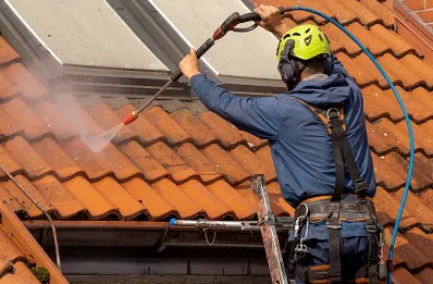 Démoussage et hydrofuge de toiture à Pérassay